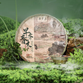Huapuchang 2024 Early Spring Arbor Raw Pu-erh Tea Cake – 300 g